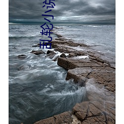 乱(luàn)轮小(xiǎo)说