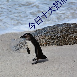 今日十大熱點新聞摘抄