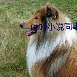 呻吟小说同事 （顶尖）