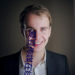 爱豆传媒在线观看免费完整 （蚤兴夜寐）