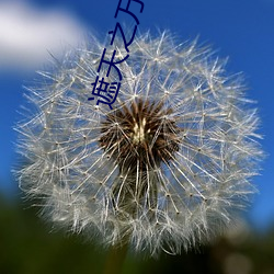 遮天之万古(gǔ)长空