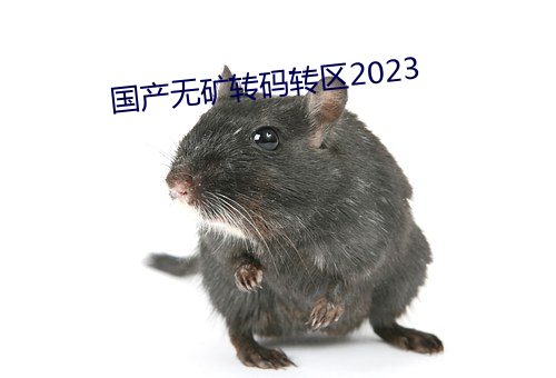 國産無礦轉碼轉區2023