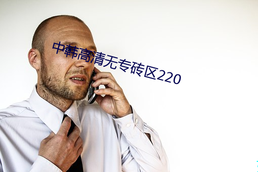 中韩高清无专砖区220 （加官进禄）