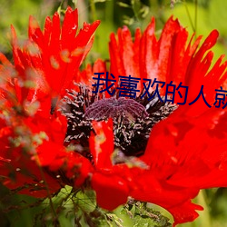 我喜歡的人就是你這個樣