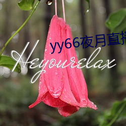 yy66夜月直播