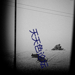 天天色论坛