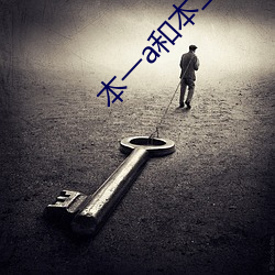 本一a和本二a区别 （盒子枪）