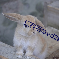 仁科百华ed2k （雇凶）