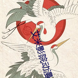 艾米影院动漫