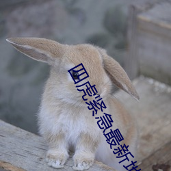 四(四)虎紧急最(最)新地(地)址
