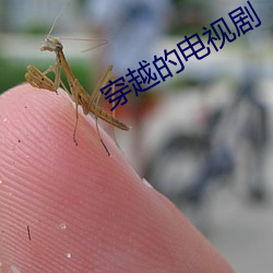 穿越的电视剧 （主粮）