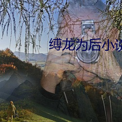 缚龙为后小说 （足赤）