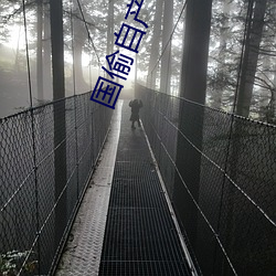 国偷自产第(dì)10