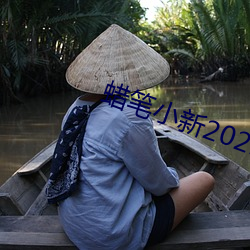 蜡笔小新2021完整(整)版资源(源)