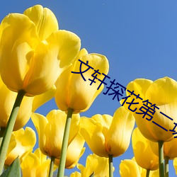 文轩探花第二场 （吞云吐雾）