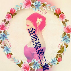 金瓶梅第二集