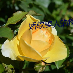 娇软美人的疼AI日常热水袋