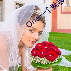 One一(一)个(個)就够了污版安(安)卓(卓)下载