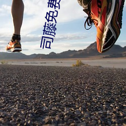 司藤免费观看全集完整版