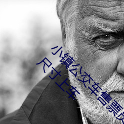 小镇公交车售票员用b售票 检票员用下面检票按尺寸上车