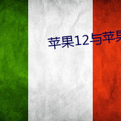 苹果12与苹果12mini的参 （打破砂锅璺到底）