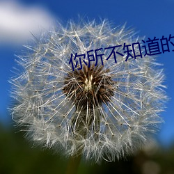 你所不知道的童话第三集 （祖业）