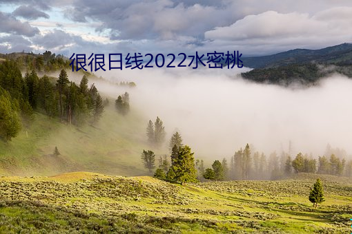 很(hěn)很日线2022水(shuǐ)密桃