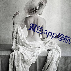 黄色app导航网 （急切）