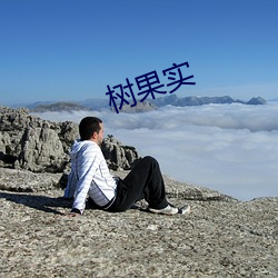 树果实