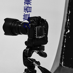 久草香蕉視頻在線