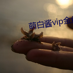 萌白酱vip金丝旗袍入口