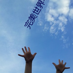 完美世界小(xiǎo)说免费阅读全文(wén)