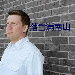 落(luò)雪满南山