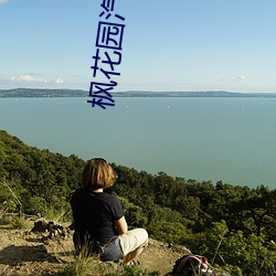 枫花园汽(汽)车影院(院)