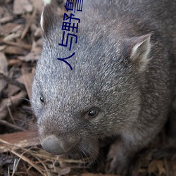 人与野鲁 毛片 安分守己