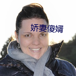 娇妻傻婿