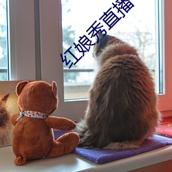 紅娘秀直播平台破解版