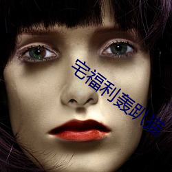 宅福利轰趴猫