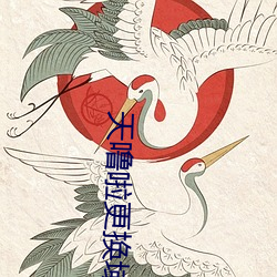 天(tiān)噜啦更换域名解(jiě)析