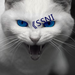 《SSNI