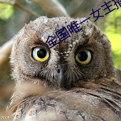 全国唯一女(nǚ)主播(bō)电台