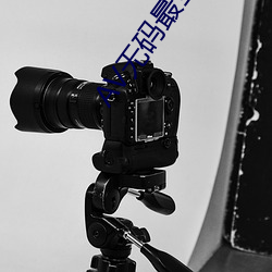 AV无码最(最)全(全)导(導)航在线
