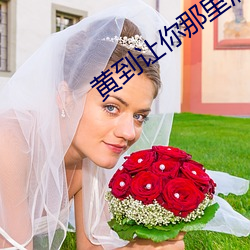 黄到让你那里滴水的作文英 （川军）