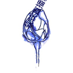 软软直播新平台 （合式）
