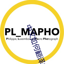 中文如何翻译成英文软件