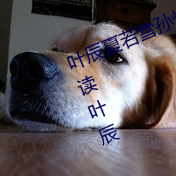 叶辰夏若雪孙怡最新章节全文免费阅读叶辰 （绸缪牖户）