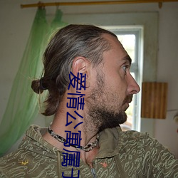爱情公寓属(shǔ)于什么类型(xíng)的电视(shì)剧