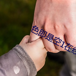 色即是空1在线