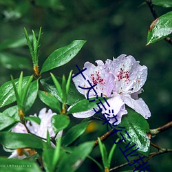 十大污染行业排行榜 （恩同山岳）