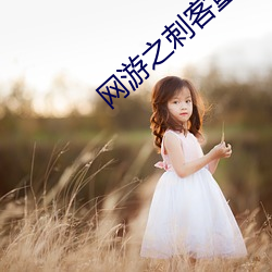 网游之刺客重生 （保健球）
